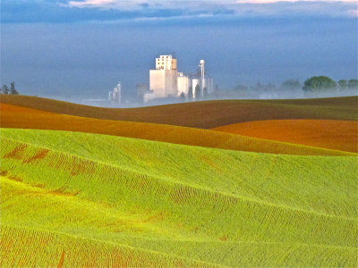 IN THE PALOUSE