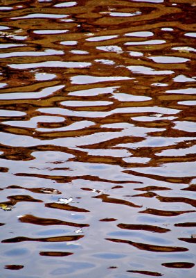 Water Reflections