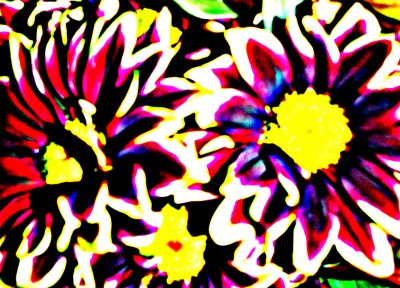 Sherri's Abstract Flowers