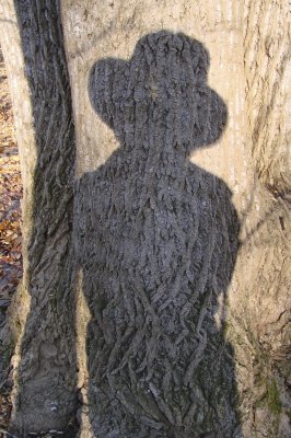 My Shadow in Tree Trunk