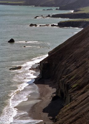 Icelandic Coastline