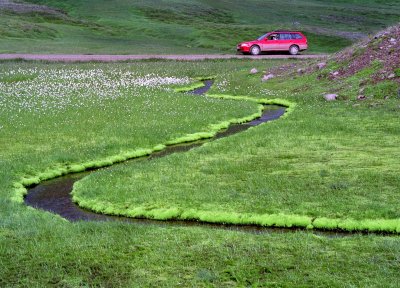Red Car. Snake Shaped Creek- Cotton Grass