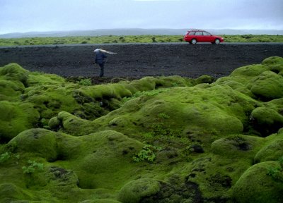 Warren Shooting Spongy Moss on Lava Fields