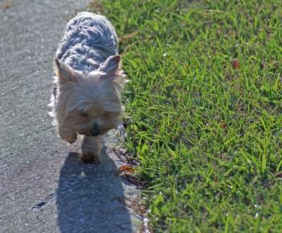 Katie on her sidewalk