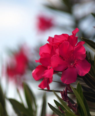 1024DSC07213.jpg
