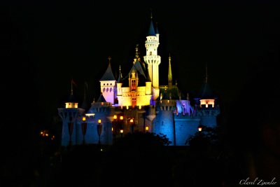 Who would go to Disney and miss the Castle?