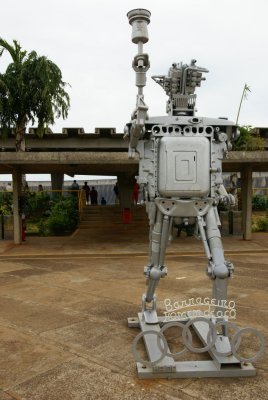 dop8.jpg