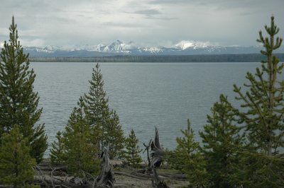 Yellowstone Lake (West Bank)