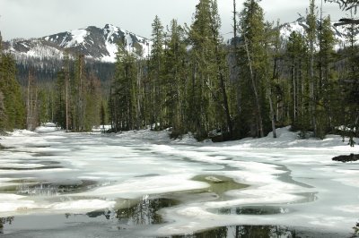 Frozen Sylvan Lake