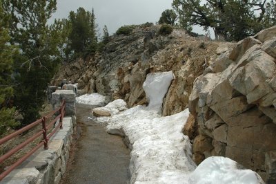 Path Back Down