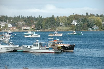 Lobster boats, Bass Harbor, Maine