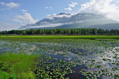 Bear Lake Outside Seward