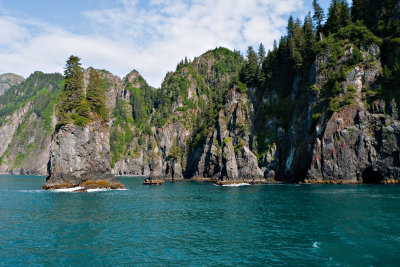 Resurrection Bay