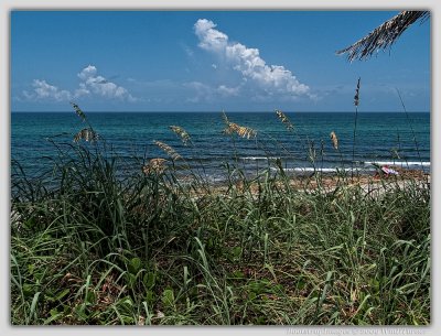 P8073770R.jpg