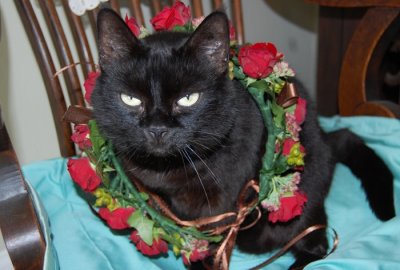 iris with flowergirl garland