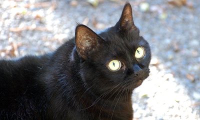 DSC_1029.jpg