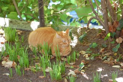 DSC_1052.jpg