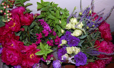 hypericum, peonies, sweet william, mint, & lisianthus
