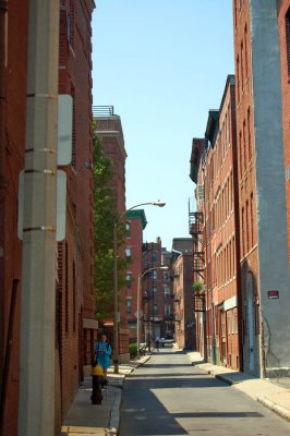DSC_0087.JPG