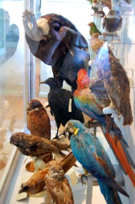 DSC_0198.JPG