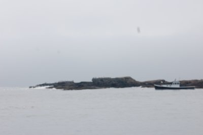 fog on the invisible nubble lighthouse boat tour