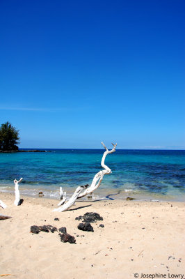 DSC_0114.JPG