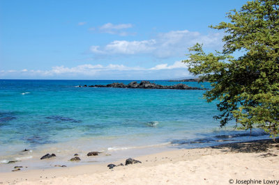 DSC_0117.JPG