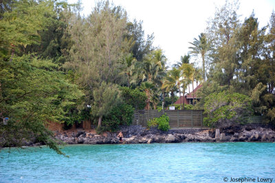 DSC_0120.JPG