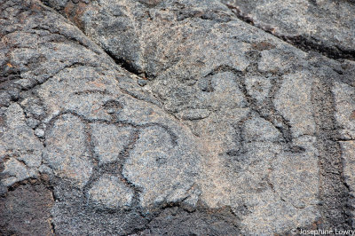 pu'u loa petroglyphs