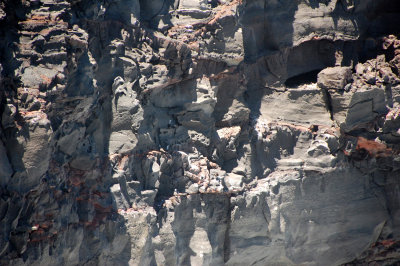 DSC_0096.JPG