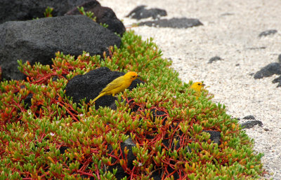 DSC_1369.JPG