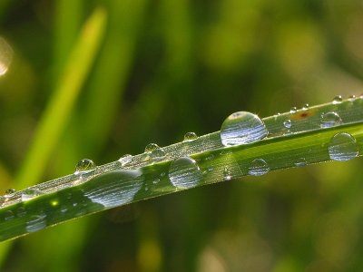 Pearls of water