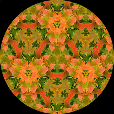 Genuine Kaleidoscopic Pictures