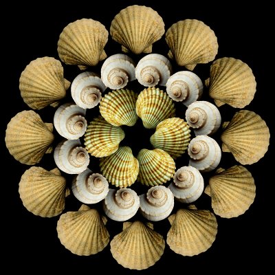 Arrangement with three different shells
