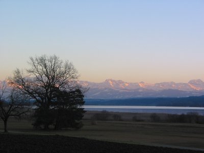 The tree - the lake - and the mountains