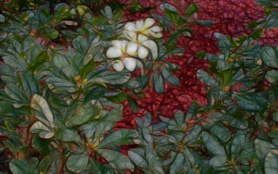 Fractal Hedgerow