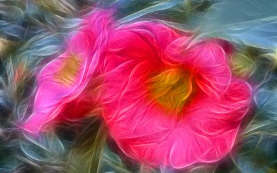 Hot Pink Feathered