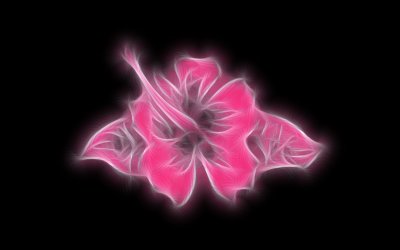 Neon Hibiscus