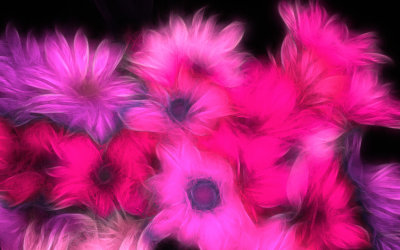 Basic Pink