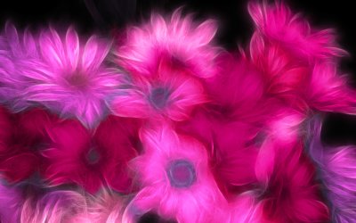 Shocking Pink