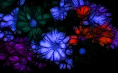 In Night Shadows
