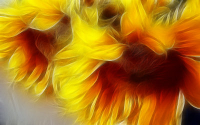 Sunflower Dance