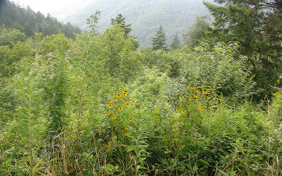 High Valley