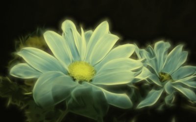 Aqua Illusion