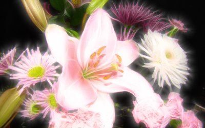 Mothers Day 08