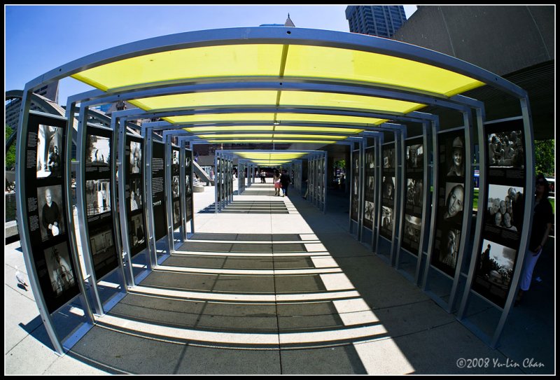 Outdoor Gallery Display in City  Hall