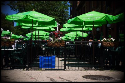 Green Umbrellas at the Black Bull