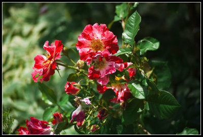 g1/54/3554/3/128688080.q7uxwKvE.jpg