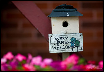 Every Birdies Welcome