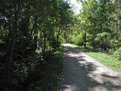 2541 the trail next to King's Cove